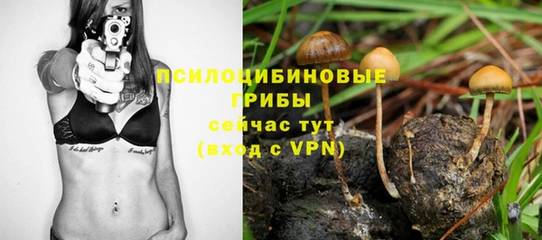 марки nbome Новодвинск