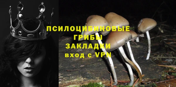 шишки Нефтегорск
