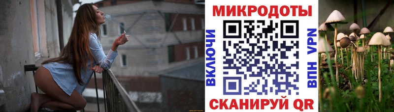Галлюциногенные грибы GOLDEN TEACHER  даркнет сайт  даркнет состав  Чита  hydra ССЫЛКА 