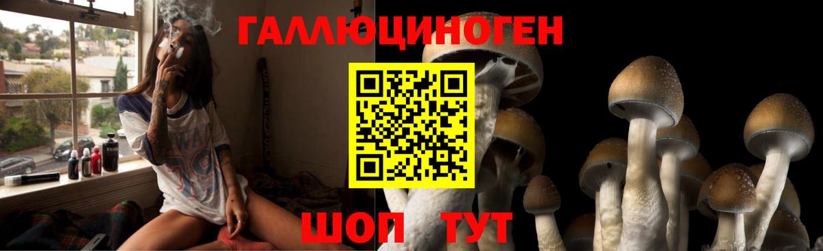 Псилоцибиновые грибы Psilocybine cubensis  Вход с VPN  Чита 