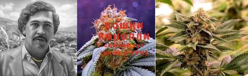 что такое   Чита  МАРИХУАНА Ganja 